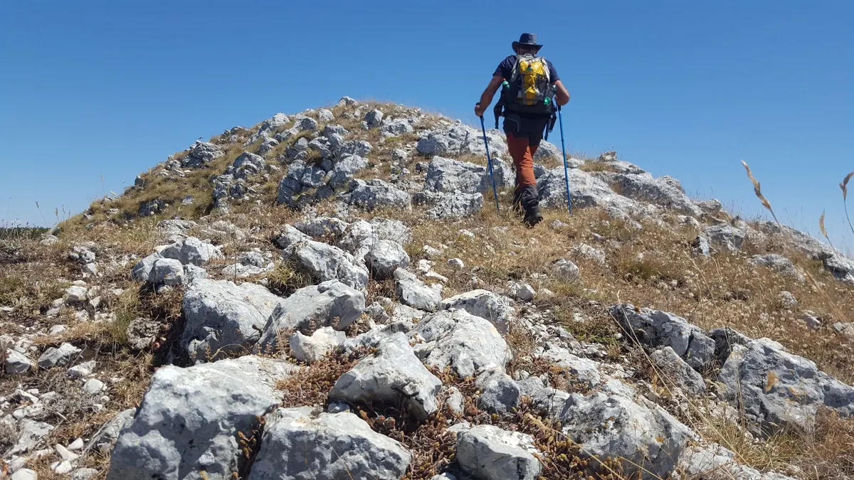 Trekking Poles: Are They Worth It and How Do You Use Them?